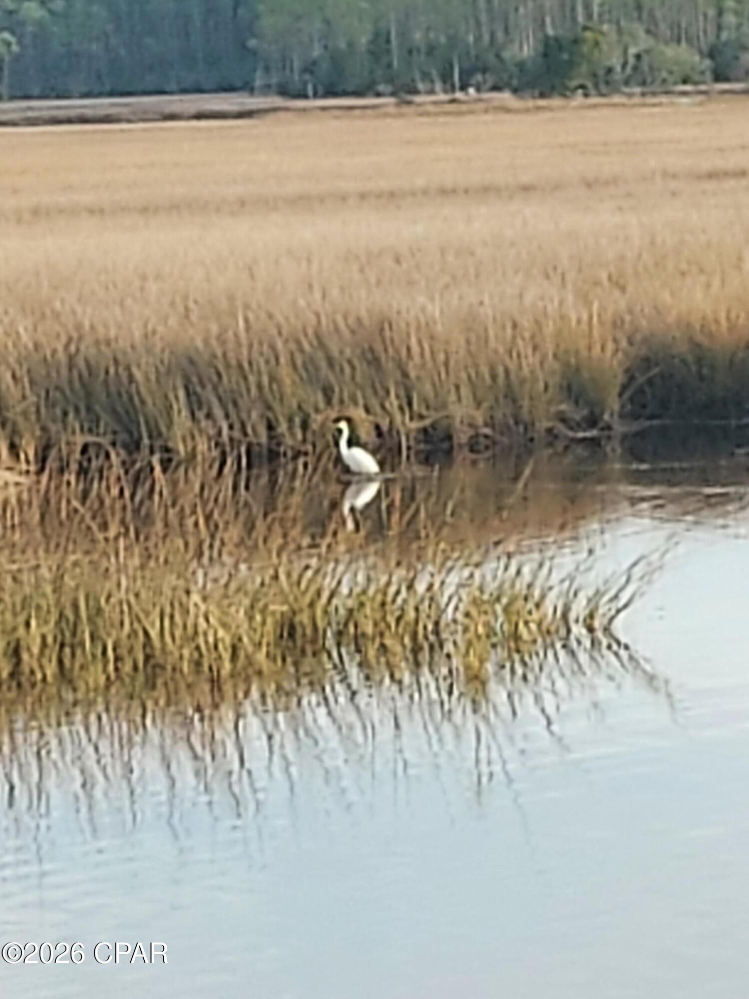 Rivercamps On Crooked Creek - Land