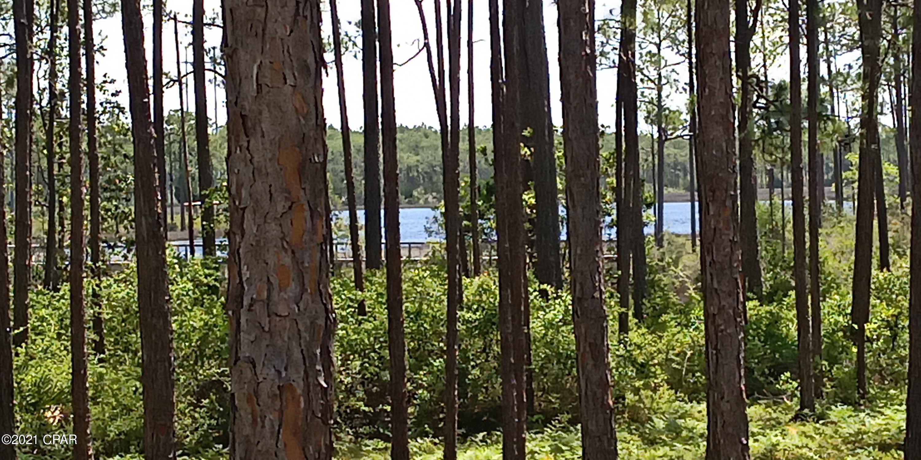 Rivercamps On Crooked Creek - Land