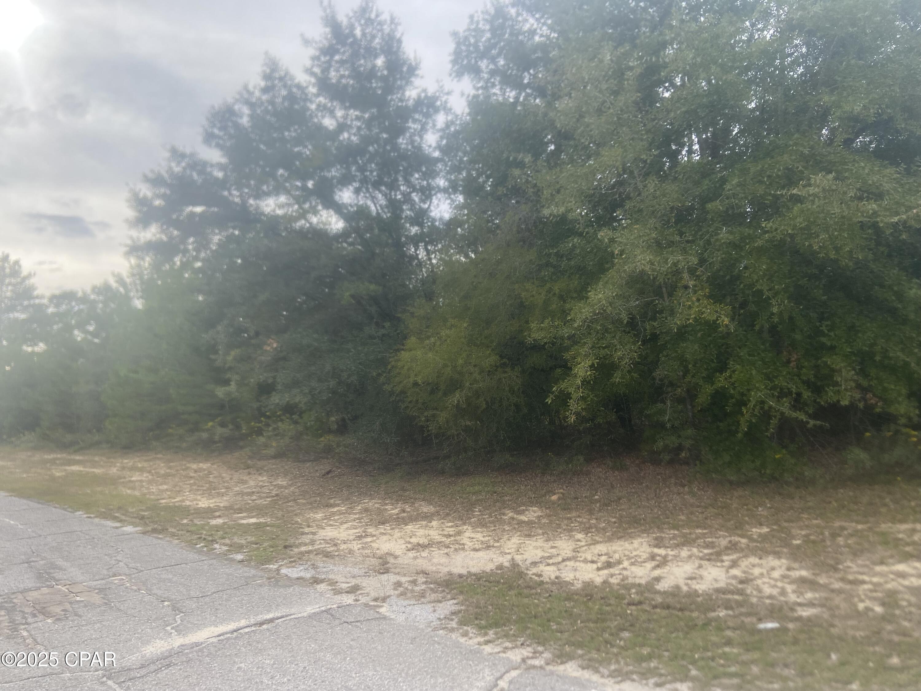 Sunny Hills Unit 1 - Land