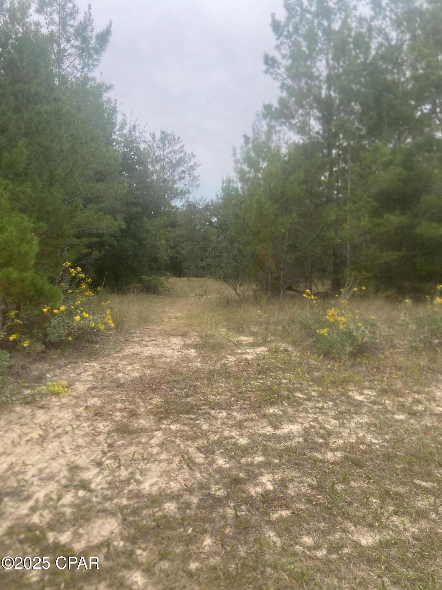 Sunny Hills Unit 1 - Land