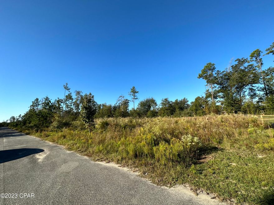 135 and 157 Jazzy are in the most beautiful and quite area you could ever ask for. Land is ready for your new future HOME on a PAVED ROAD. EACH lot is 0.49 of an acre. The sky is the limit for these lots. Come check it out for yourself.