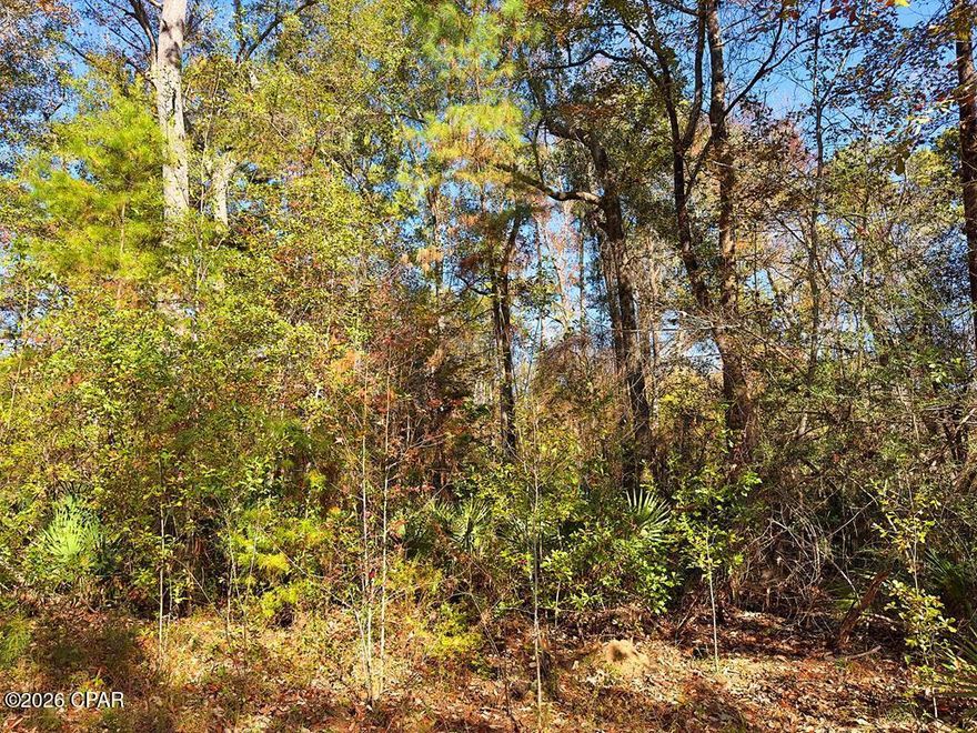 Amazing ground floor opportunity to own a double lot, in an unimproved neighborhood, less than a half mile from the Willis Landing on the Brothers River. At 1.2 acres, this could be the rural homesite you've been waiting for. Mostly wooded, this lot gives you the ability to cut and clear what you want and leave some ''privacy screen'' for a peaceful place to relax and call home. This property is is in a very quiet, very rural part of Wewahitchka and if you like the outdoors and want to secure a homesite for your forever home or weekend retreat, this deserves a look. Owner financing is available with approved offer. Being sold as a double lot, 254 and 272 Riverside Circle.