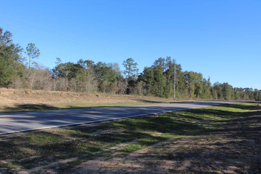 Pretty parcel with Oaks, Pines and a nice elevation, just perfect for your new home with plenty of space to stretch out. Easy access to town, Beaches and schools with no restrictions and a paved road too!  Take a look we won't mind.