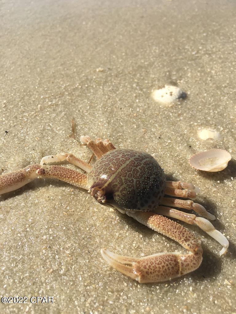 Gulfaire - Residential