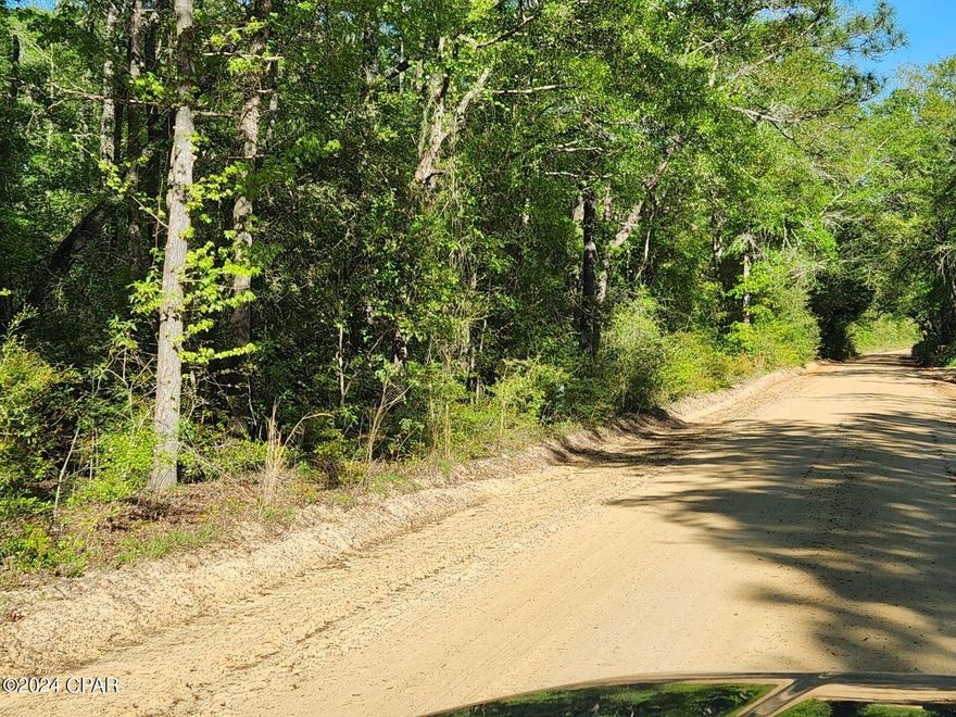 Don't miss this great opportunity to own a 5 acre wooded lot that offers privacy and seclusion while still being conveniently located to Ponce de Leon or Defuniak Springs.  Just imagine the possibilities of building your dream home in such a tranquil setting.  Plus, with the need for well and septic tank, you'll have full control over your utilities.  Check out this property today.