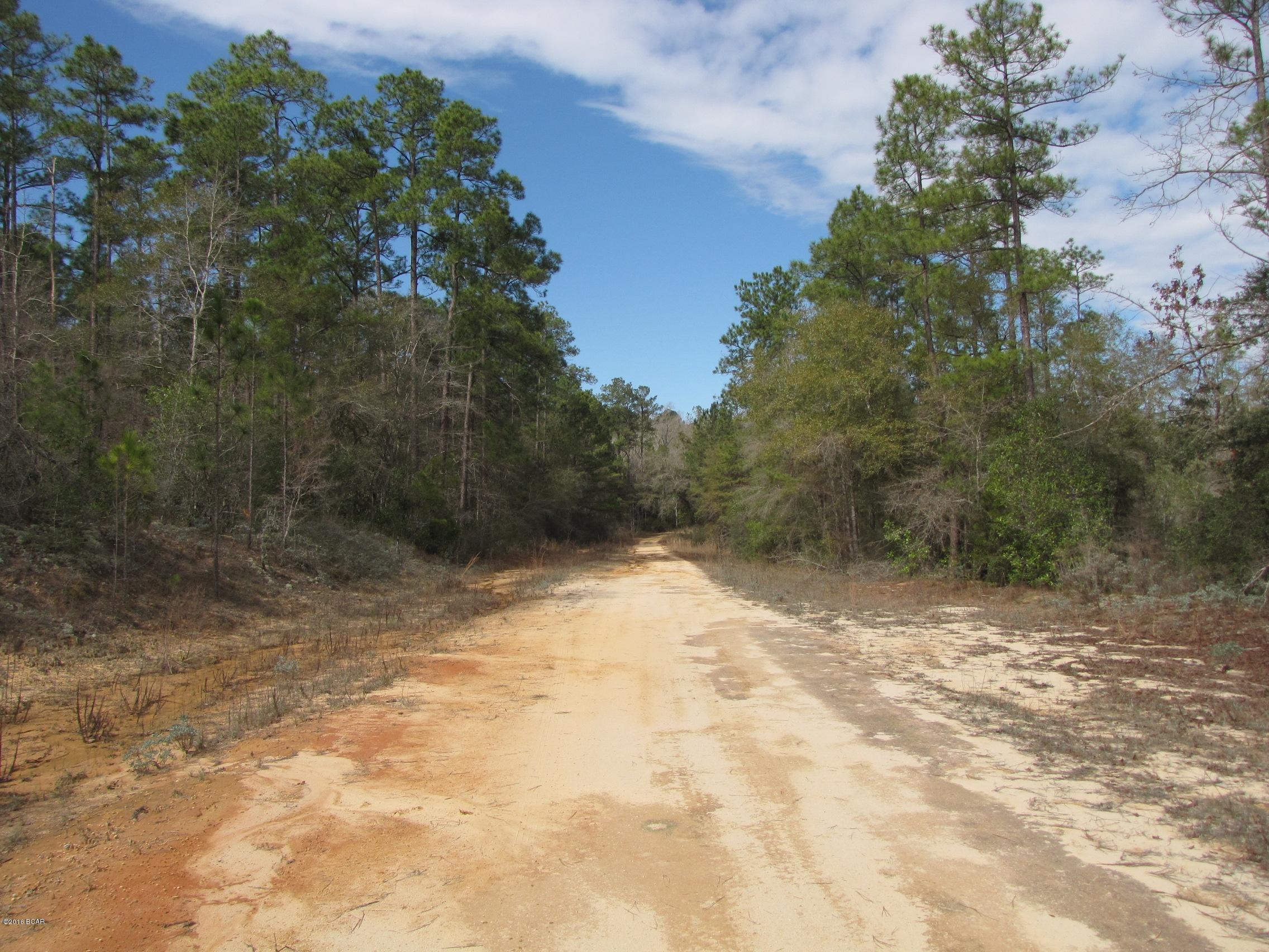 Compass Lake In The Hills - Land