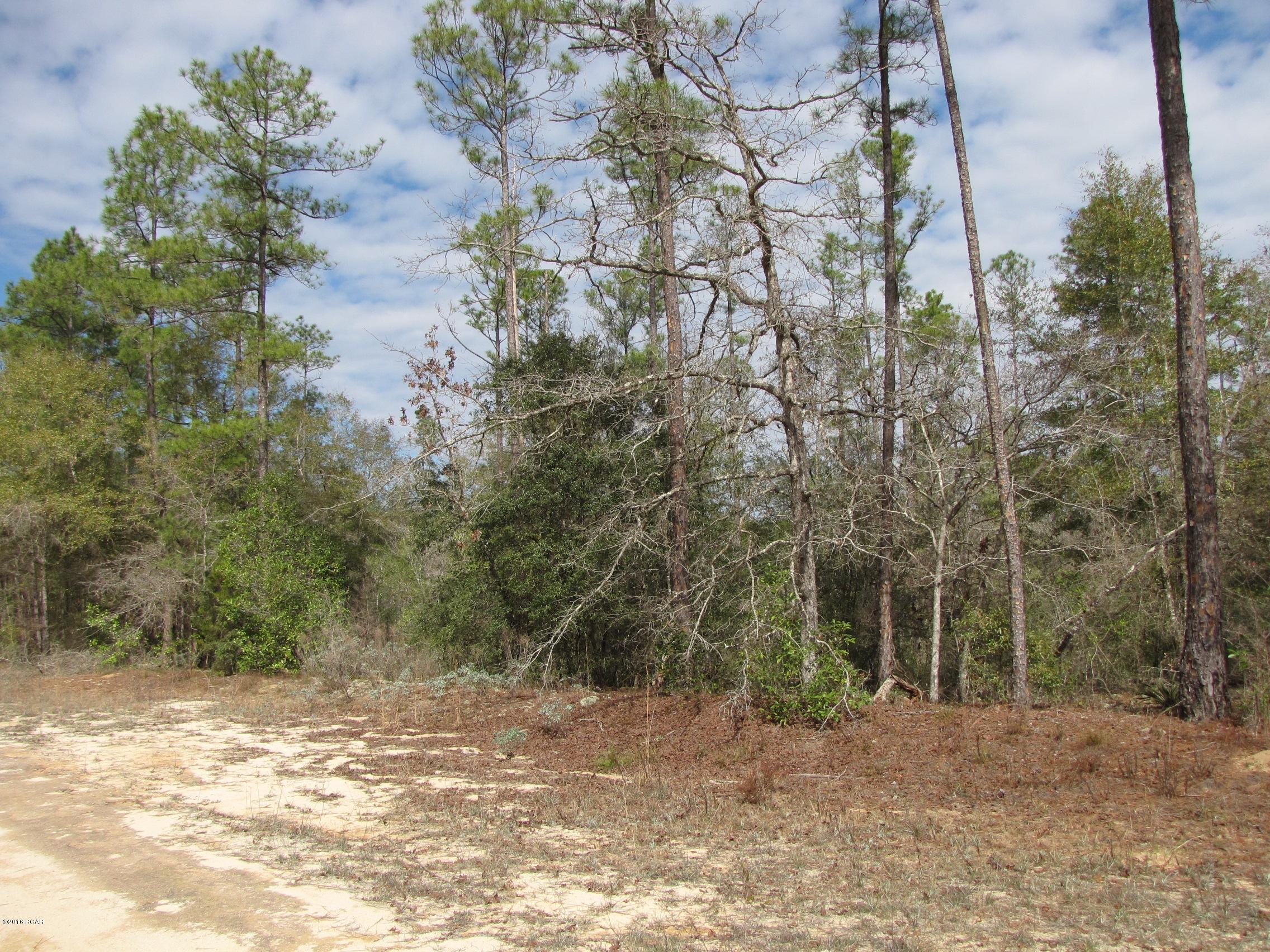 Compass Lake In The Hills - Land