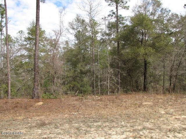 Compass Lake In The Hills - Land