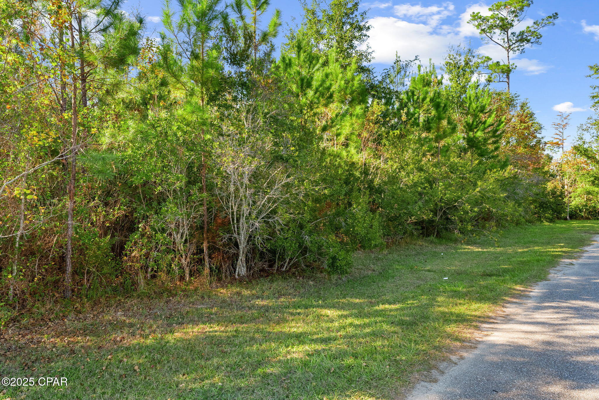 Red Bull Island - Land