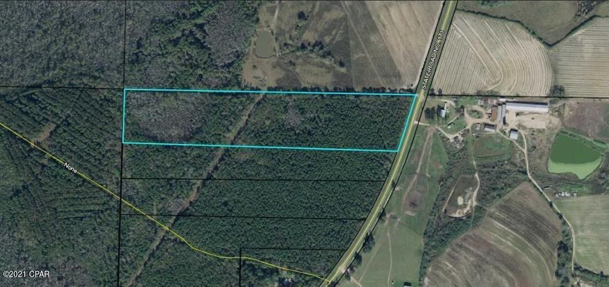 Awesome, large tract of land in Bonifay. A little under 22 acres of beautiful and flat land. The current owner has partially cleared a home site and has a driveway to the homesite. The current owner also has permits for septic installation. Ready to have your own piece of country paradise, and within 1 hour to the Emerald Coast, this is it!!! All measurements approx. If important please verify.