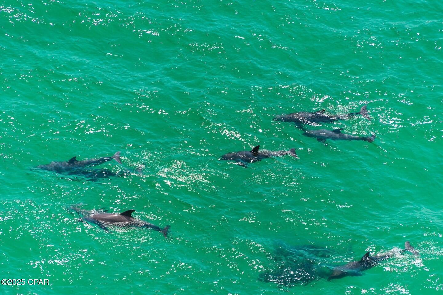 Calypso Towers I - Residential