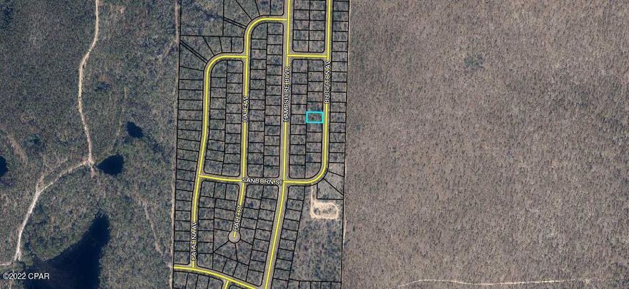 This property is located in the up-and-coming subdivision of Sunny Hills. This subdivision has its own golf course, swim park and recreational park (see photos). It is less than an hour from Panama City Beach and it is nearby numerous other lakes. Enjoy the country feel while not being far from the city. This particular lot is less than a mile from Porter Lake. The lot beside this one is available by the same seller. It is the same size and price. Taxes include $31.91 MSBU annual assessment.