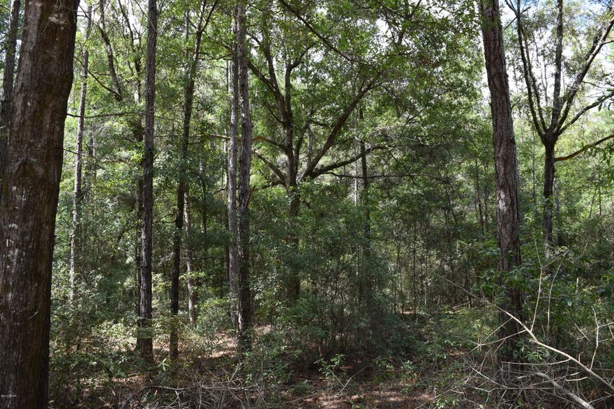 2.52 acre lot on Owenwood Road.  166.30 on Owenwood X 660.00 deep.  Filled with beautiful oaks and magnolias.  High and dry.  Survey available.  Parcel ID #:  00655-020-000.  Owner financing available with at least 50% down.  Other owner financing terms and conditions apply.