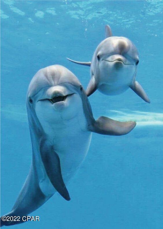 Endless Summer I - Residential