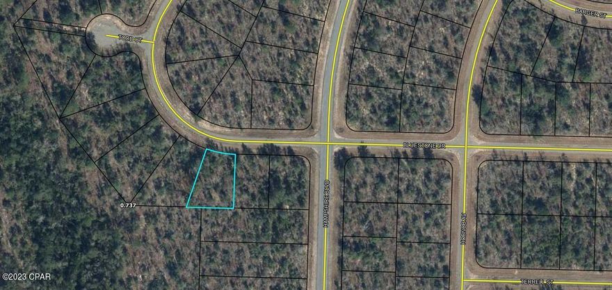 GREAT BUILDING PARCEL that's been left to its original Plush Green Florida Landscape. That means YOU have the ability to choose which trees stay and which ones go. Choose where you want your home built and even where your driveway goes. The Sunny Hills community has places to swim, golf, bike, hike and it has some of the best Fishing Spots on the planet !!! Location is perfect to escape the busy life in this quiet community. But if you ever miss it, Excitement is just a short drive away with The Worlds Most Beautiful Beaches Panama City Beach, Famous Pier Park Shopping, Tyndall Air Force Base and the Marianna Caverns. Cool Deep Water Springs are just minutes away along with several State Parks. Purchase this parcel to build on now or for a future investment. Also makes a great gift.