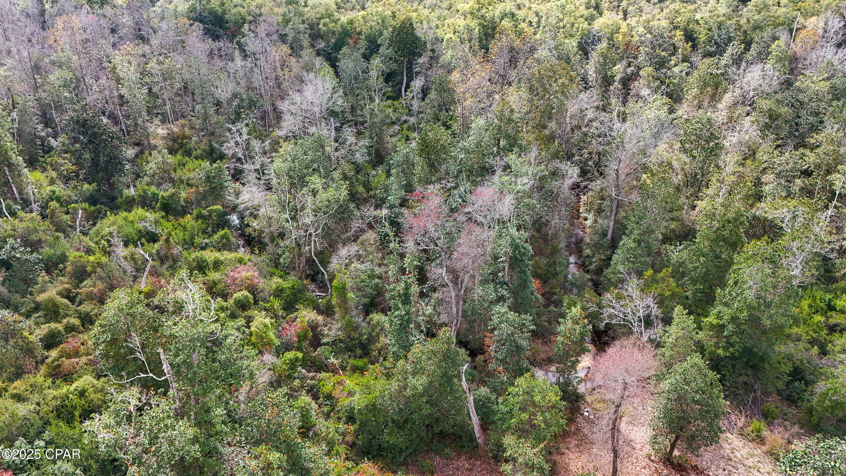 [No Recorded Subdiv] - Land