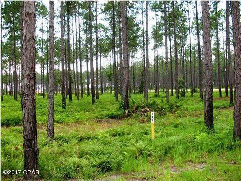 Rivercamps On Crooked Creek Ph 3 - Land