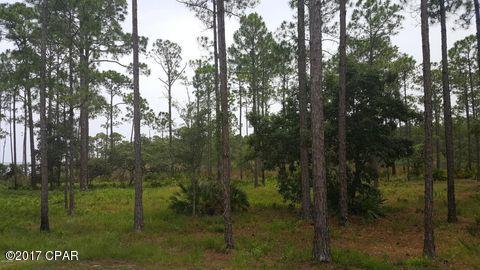 Rivercamps On Crooked Creek Ph 3 - Land