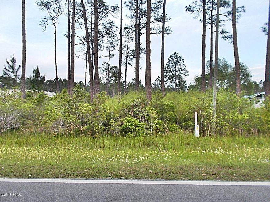 Vacant wooded lot on paved road, some pines and palmetto on it,feel free to walk on it but don't go onto the neighbors property.