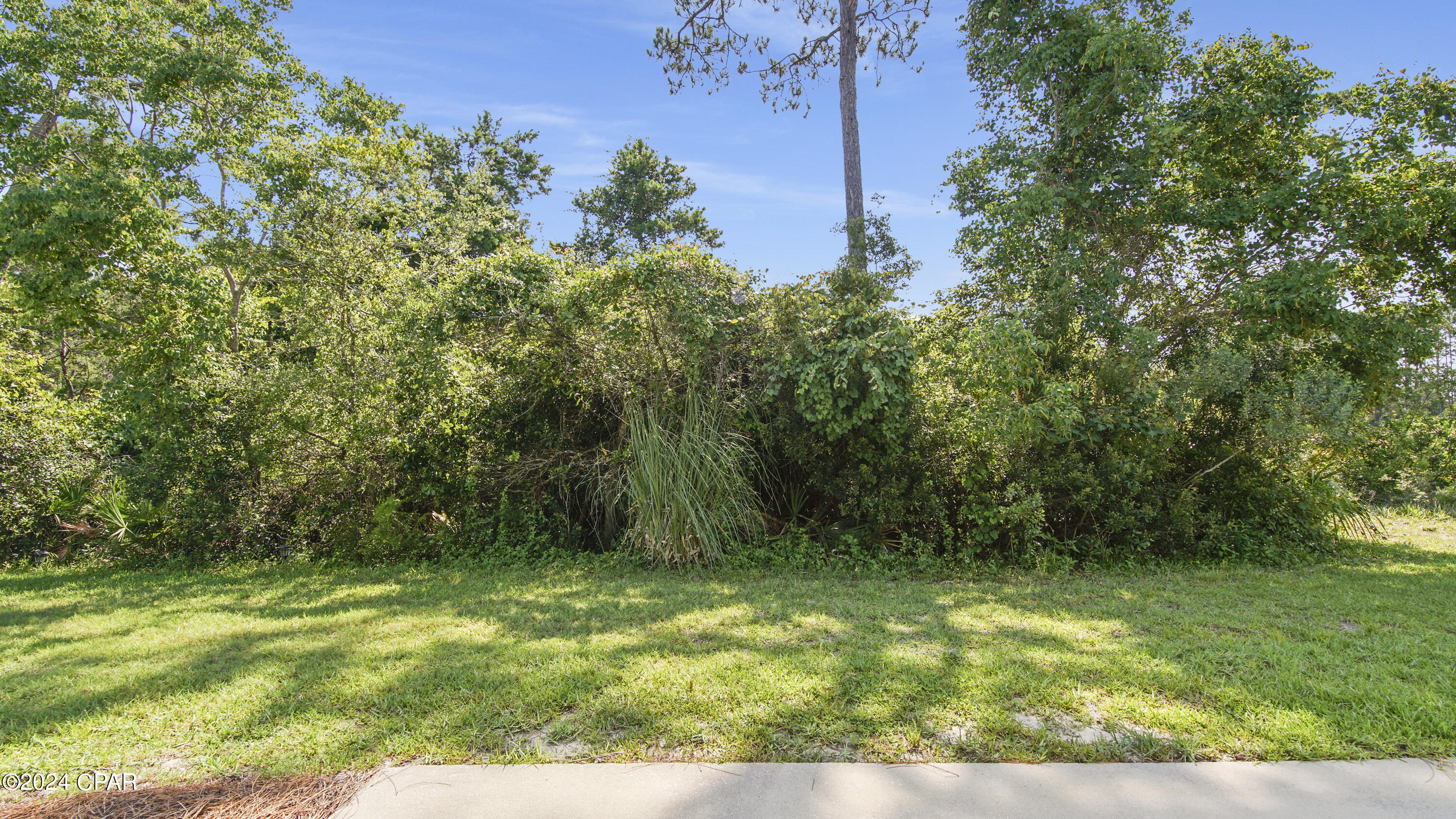 Palmetto Trace Phase 2 - Residential