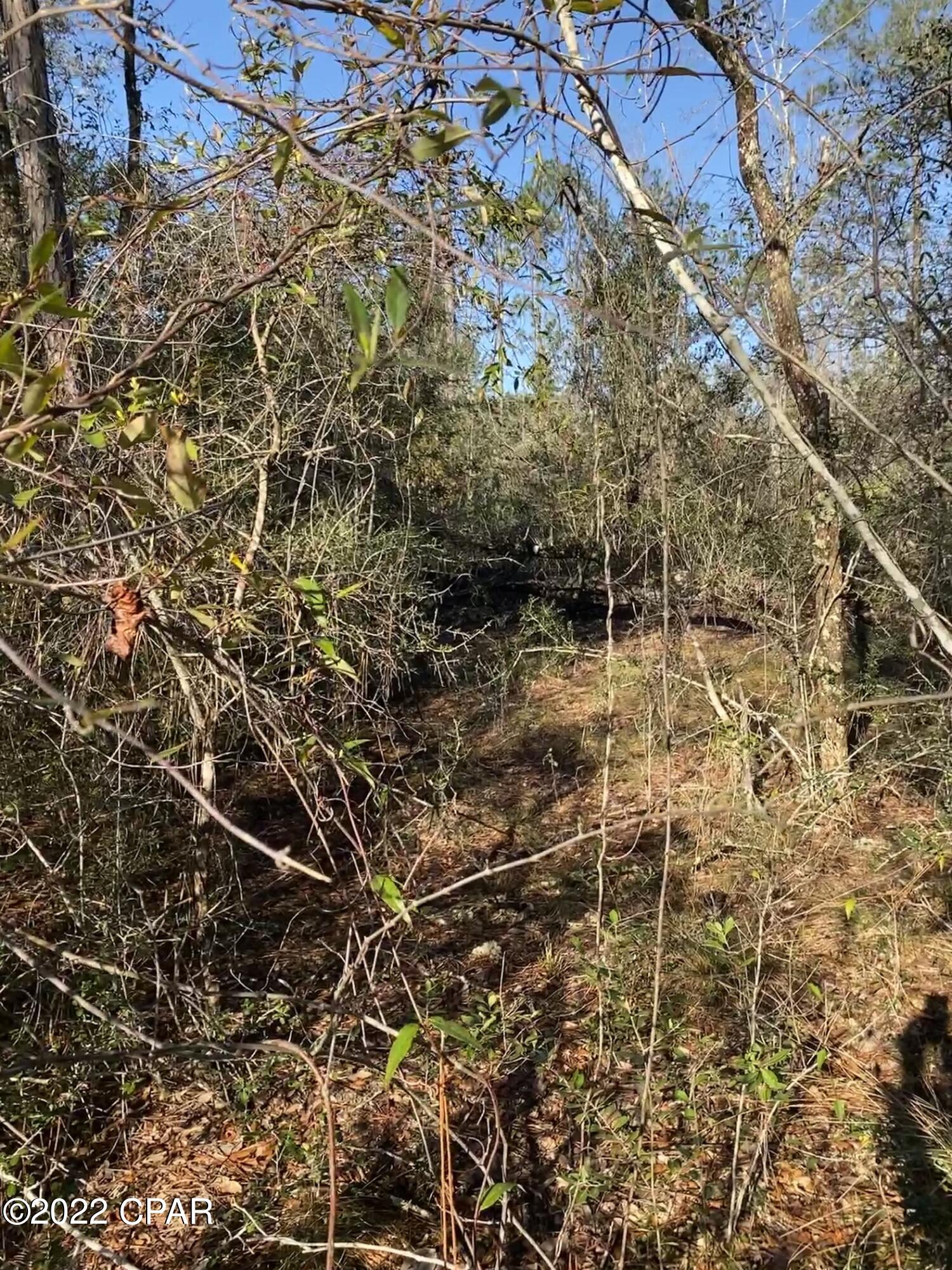 Compass Lake Hills Unit 2 - Land