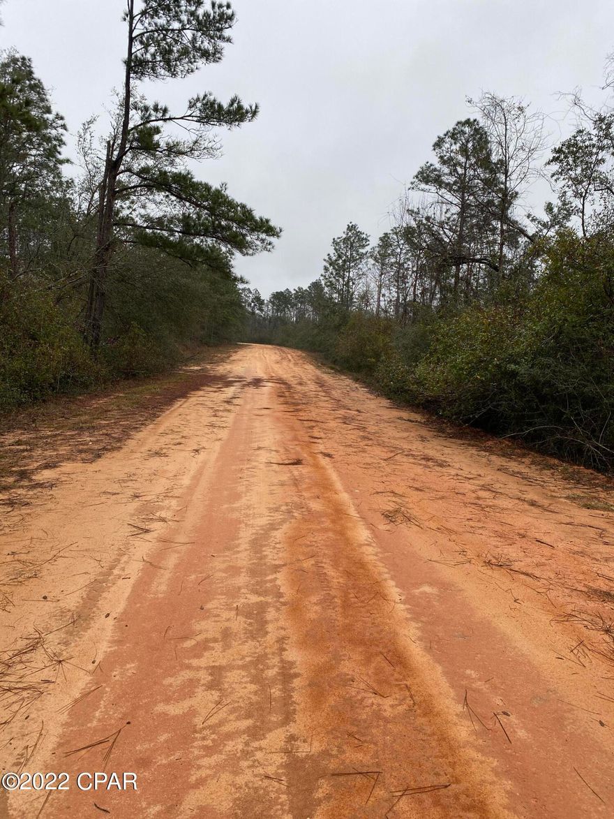 This 1.3 acre lot is conveniently located just  off Nortek and Hwy 167 in Compass Lake in the Hills area. Driving in on Nortek Blvd, you can view several nice homes and  imagine what you will have once you clear your homesite. Flood zone X. Wide open spaces on all sides makes this feel more remote than it is, yet you can access all the amenities and activities of Compass Lakes by joining the voluntary POA of only $135 per year. Please verify details if important.