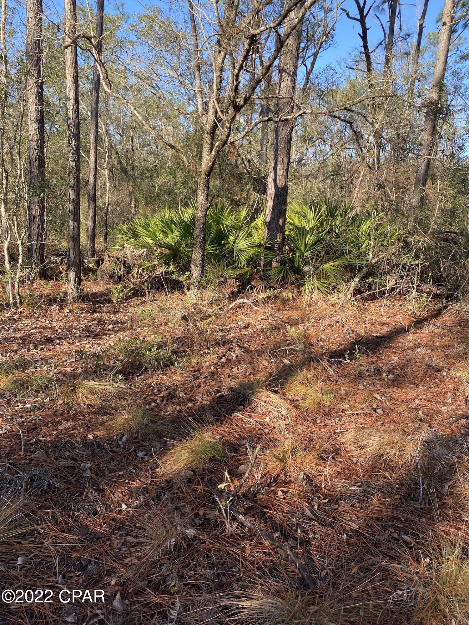 Compass Lake Hills Unit 2 - Land