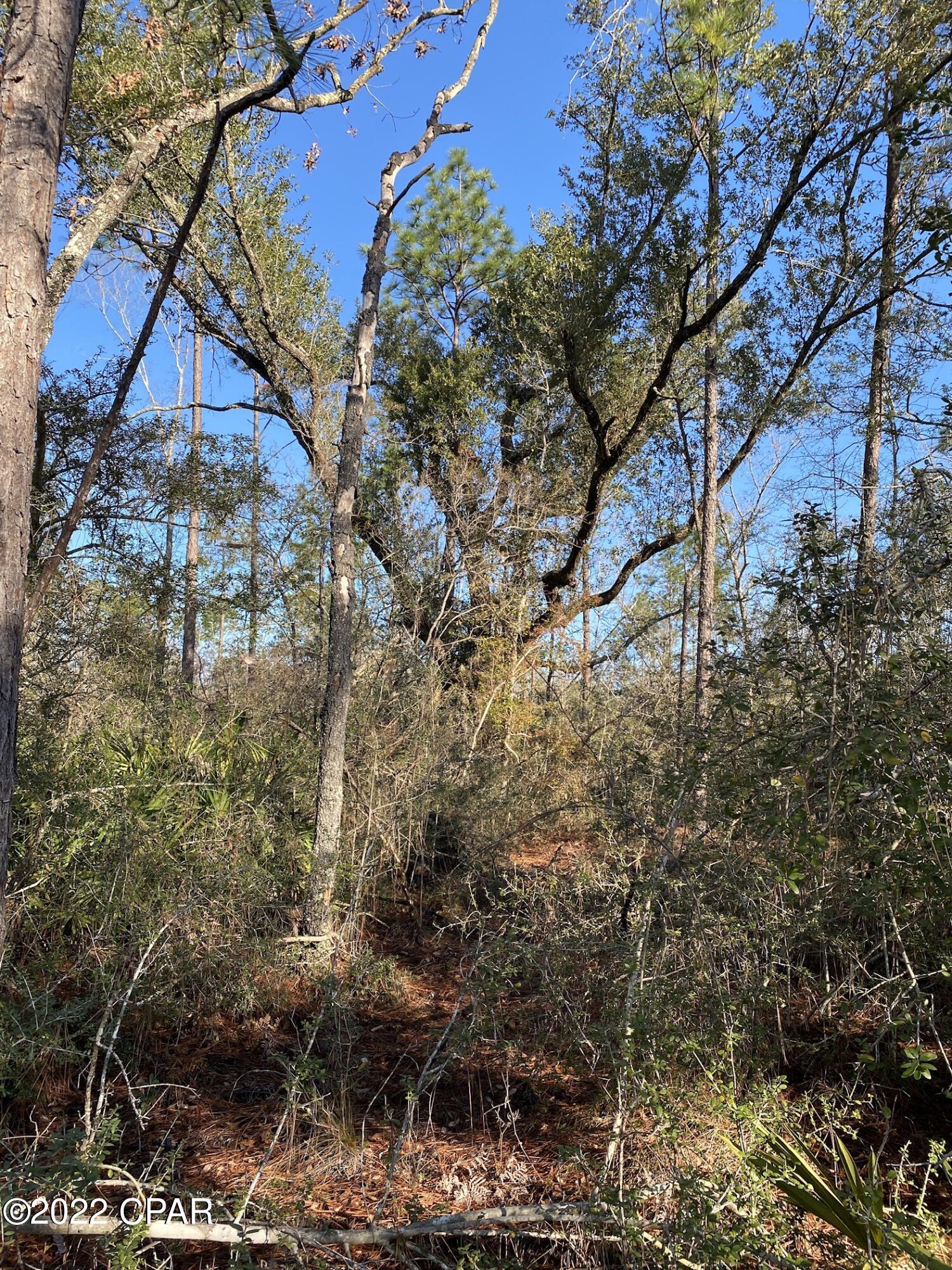 Compass Lake Hills Unit 2 - Land