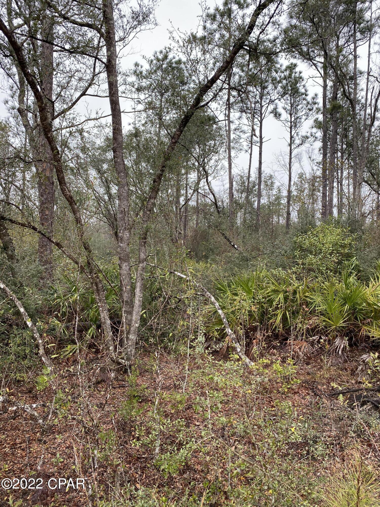 Compass Lake Hills Unit 2 - Land