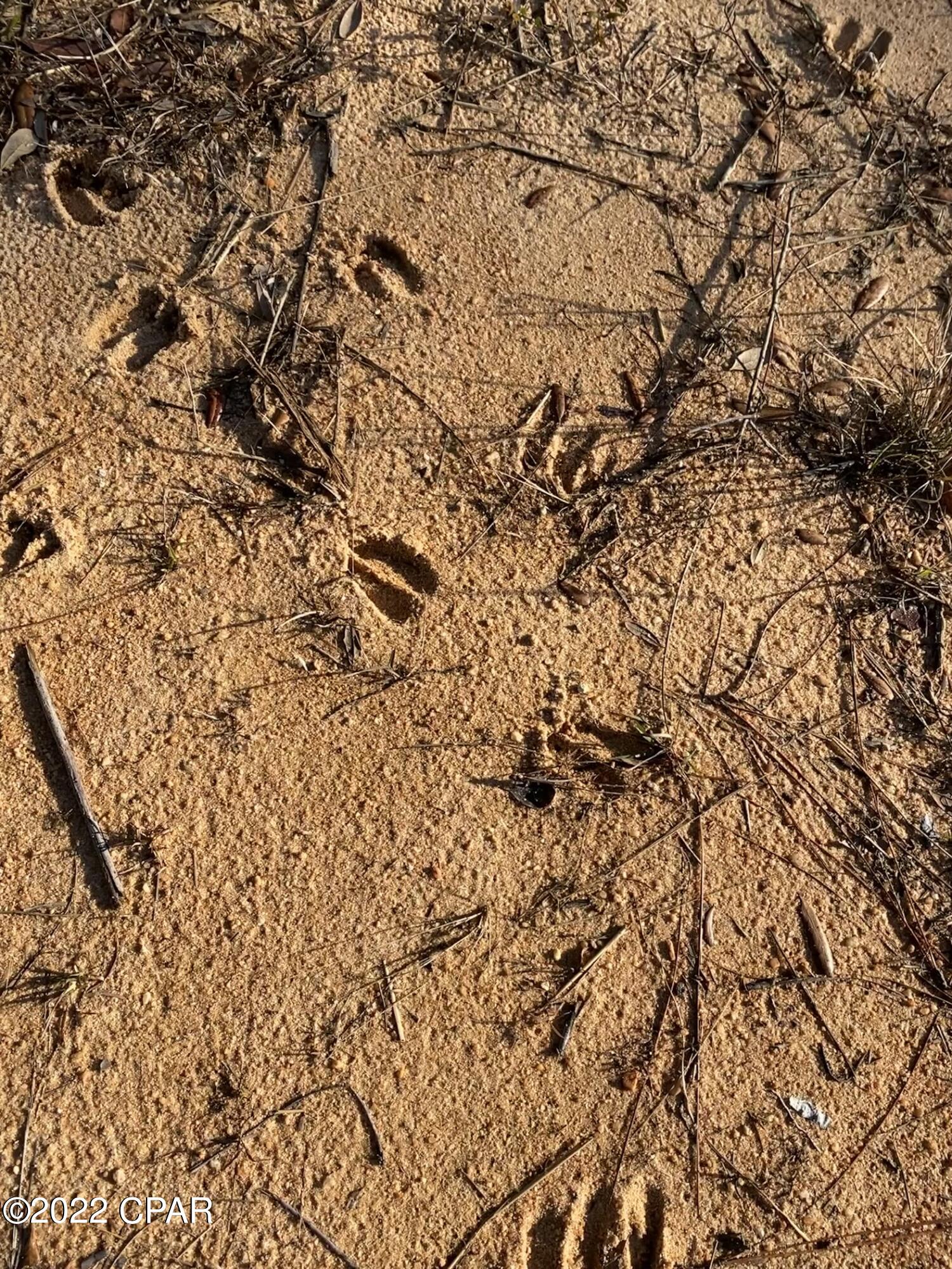 Compass Lake Hills Unit 2 - Land