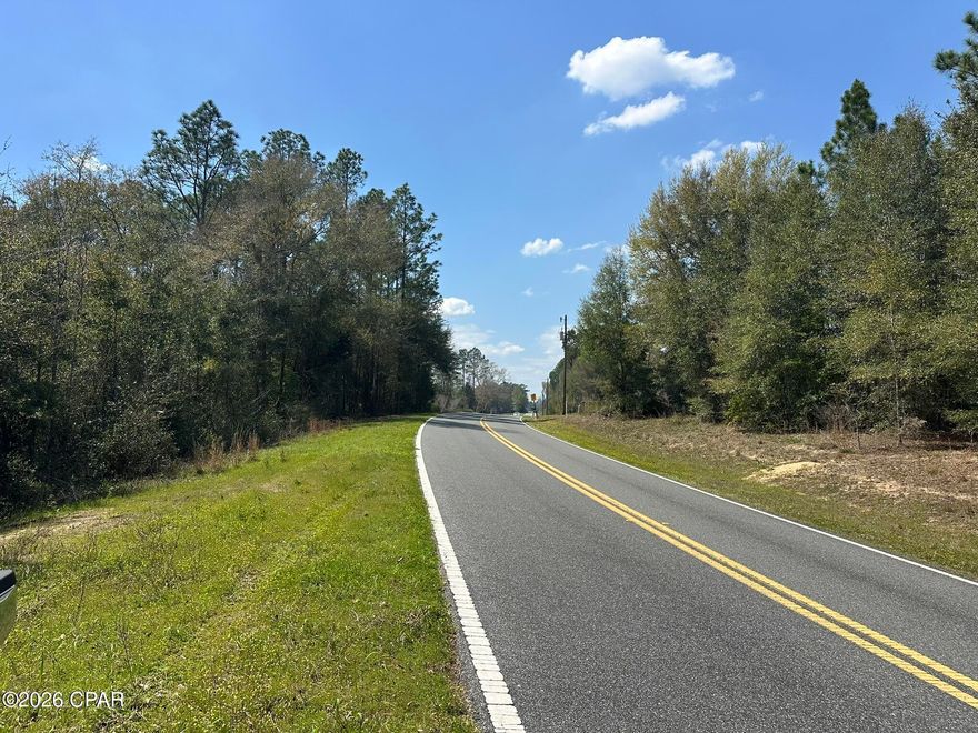 25.82 ACRES +/- of beautiful, untouched land offering a rare opportunity to own a sizable piece of Northwest Florida in its natural state. This portion of the parcel presents a blank canvas for those looking to create a private homesite, recreational retreat, or outdoor getaway surrounded by the quiet character of rural Washington County. Electrical service runs along the road frontage, offering convenient access for future connection to the property. With ample space to explore and enjoy, this property invites endless possibilities for those seeking room to build, roam, or simply enjoy the outdoors. Buyer to perform their own due diligence to verify all important information. Schools are: Elementary - Vernon Middle - Vernon High - Vernon