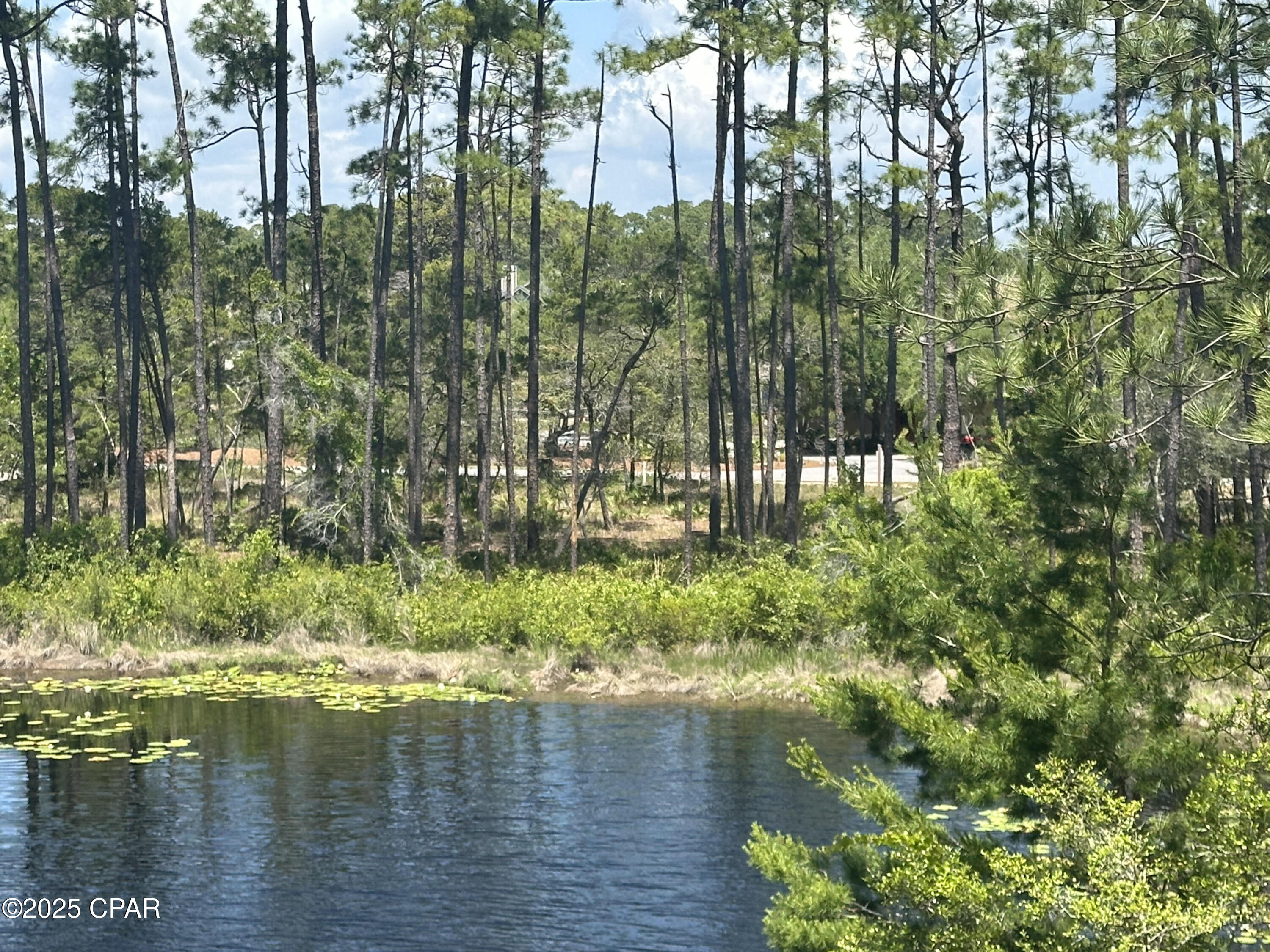 Wild Heron Phase II - Land