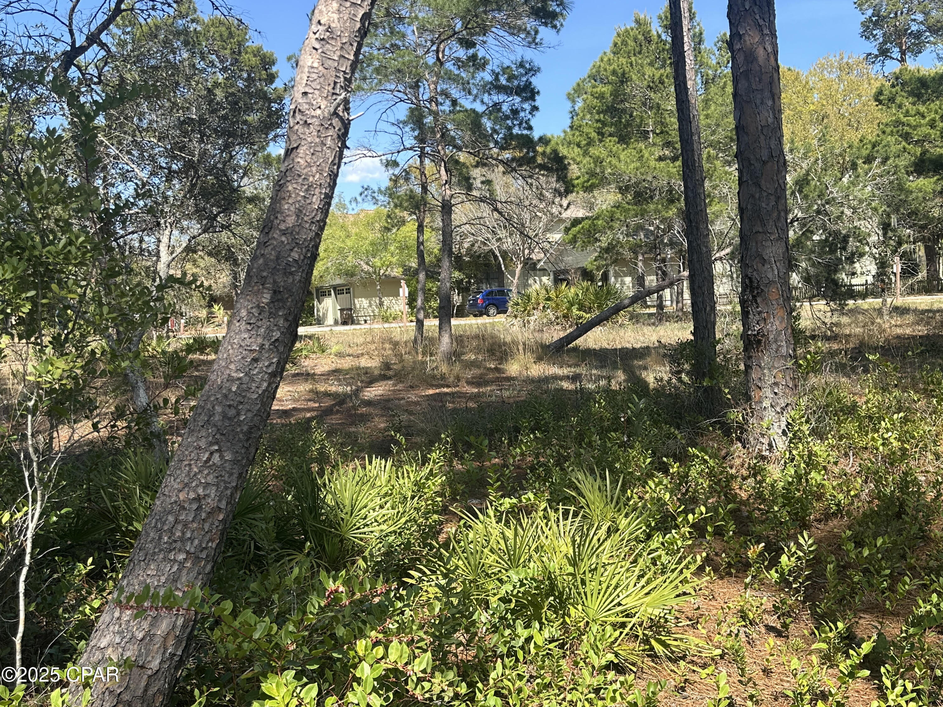 Wild Heron Phase II - Land