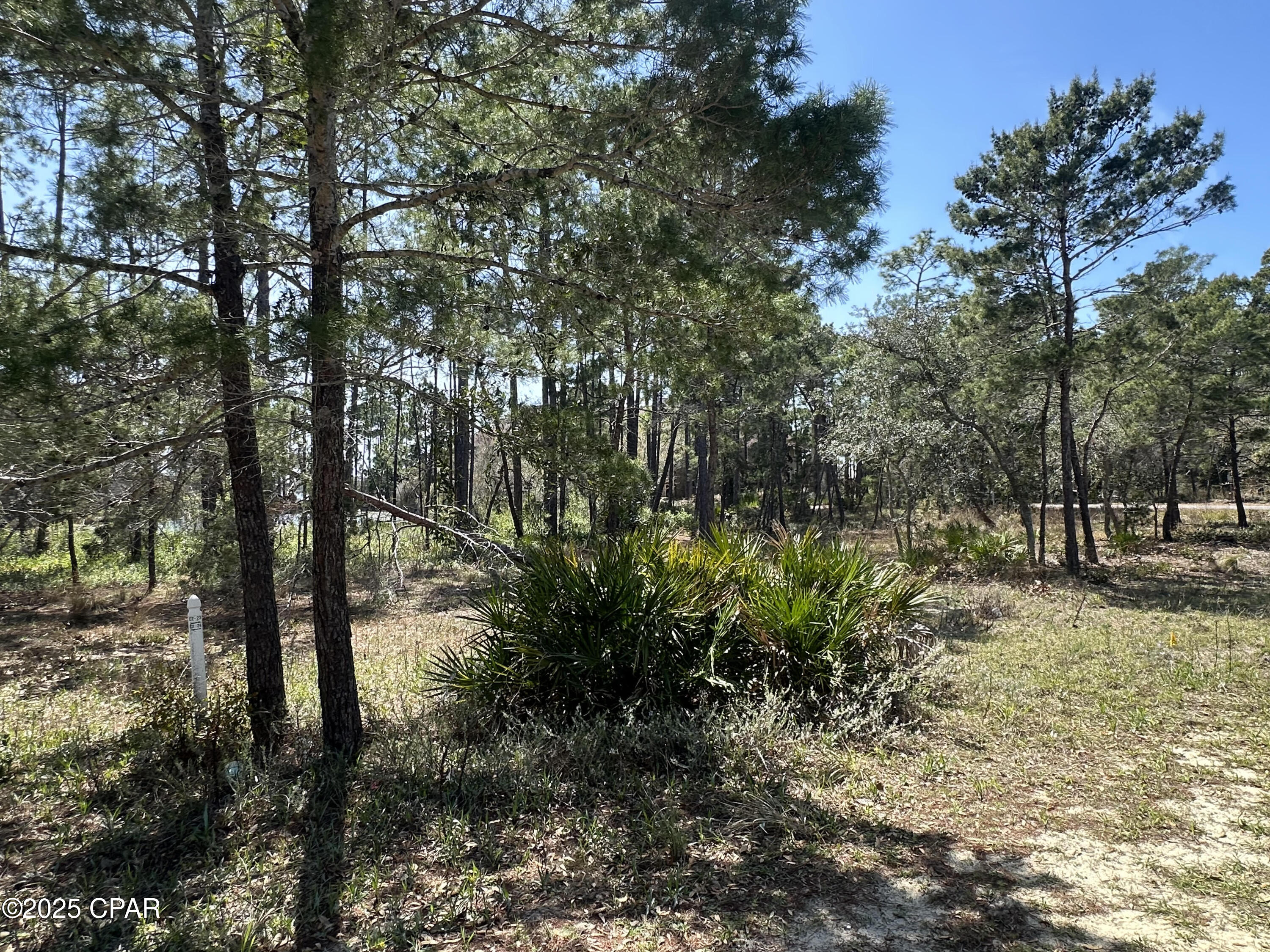 Wild Heron Phase II - Land