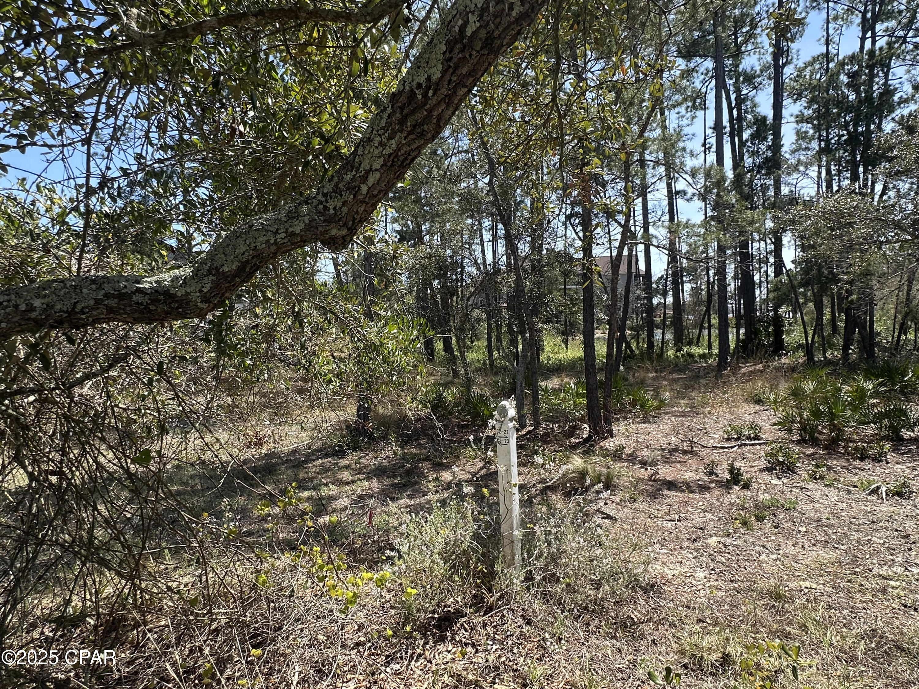 Wild Heron Phase II - Land