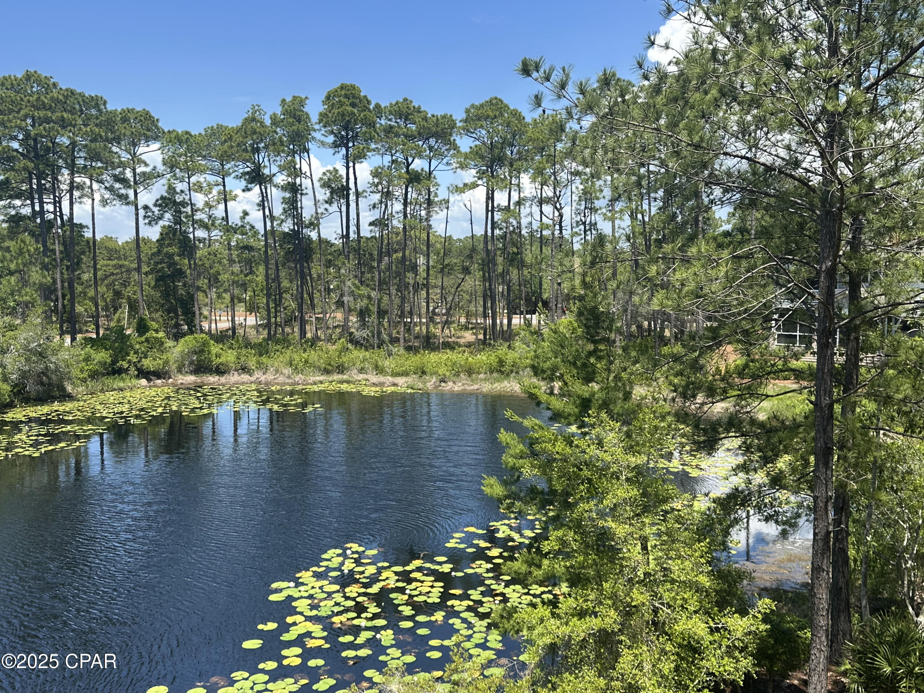 Wild Heron Phase II - Land