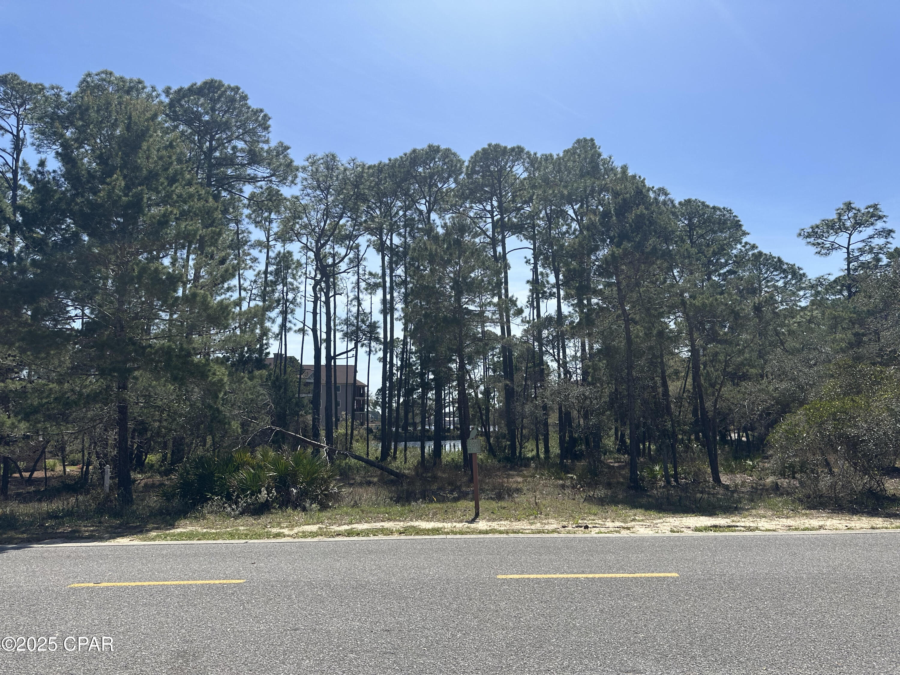 Wild Heron Phase II - Land