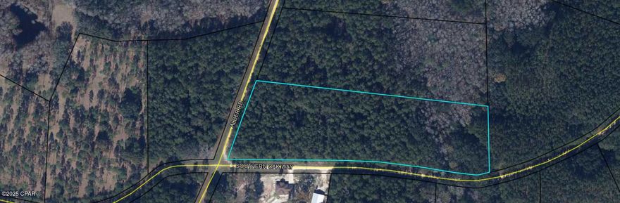 This is a beautiful 8.55 acre lot in the Reedy Creek Subdivision. The lot would make the perfect home site or investment property! Most of the surrounding lots are vacant, which makes for a secluded area with plenty of woods and wildlife. Reedy Creek has some building restrictions (no mobile or modular homes) and an annual HOA fee that maintains the roads.  Each lot has underground electricity running to the corner of the property. This development is less than 30 minutes from Walton County and about an hour to Panama City Beach. This excellent getaway spot isn't too far from the beaches. Come on out to see this stunning acreage today! Drive by, check it out and call your favorite Real Estate Agent.
