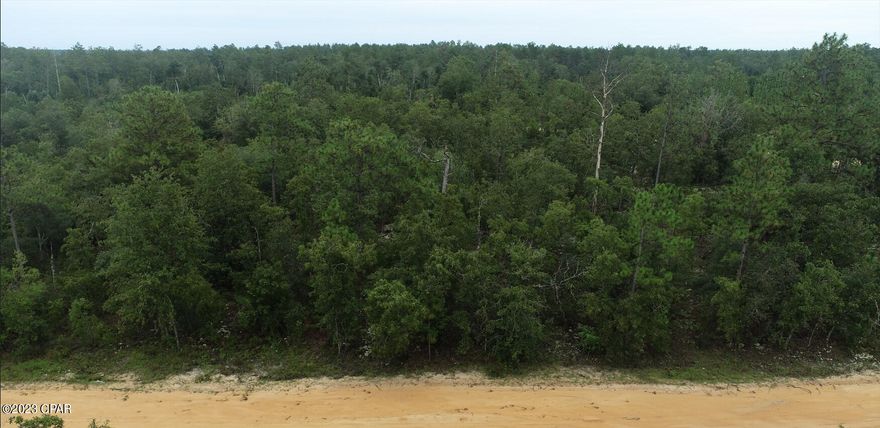 Seller offering with low monthly payment owner financing or purchase. Private .69 Acre residential lot in Compass Lake in the Hills. Compass Lakes in the Hills is located almost equal distance from the beaches of Panama City and the rolling countryside of Dothan, Alabama. An hour from Panama City! Enjoy the two lakes which features swimming, fishing , boating and more. Private enough to get away from the crowds but close enough to the amenities Compass Lakes can offer. No time limit to build.