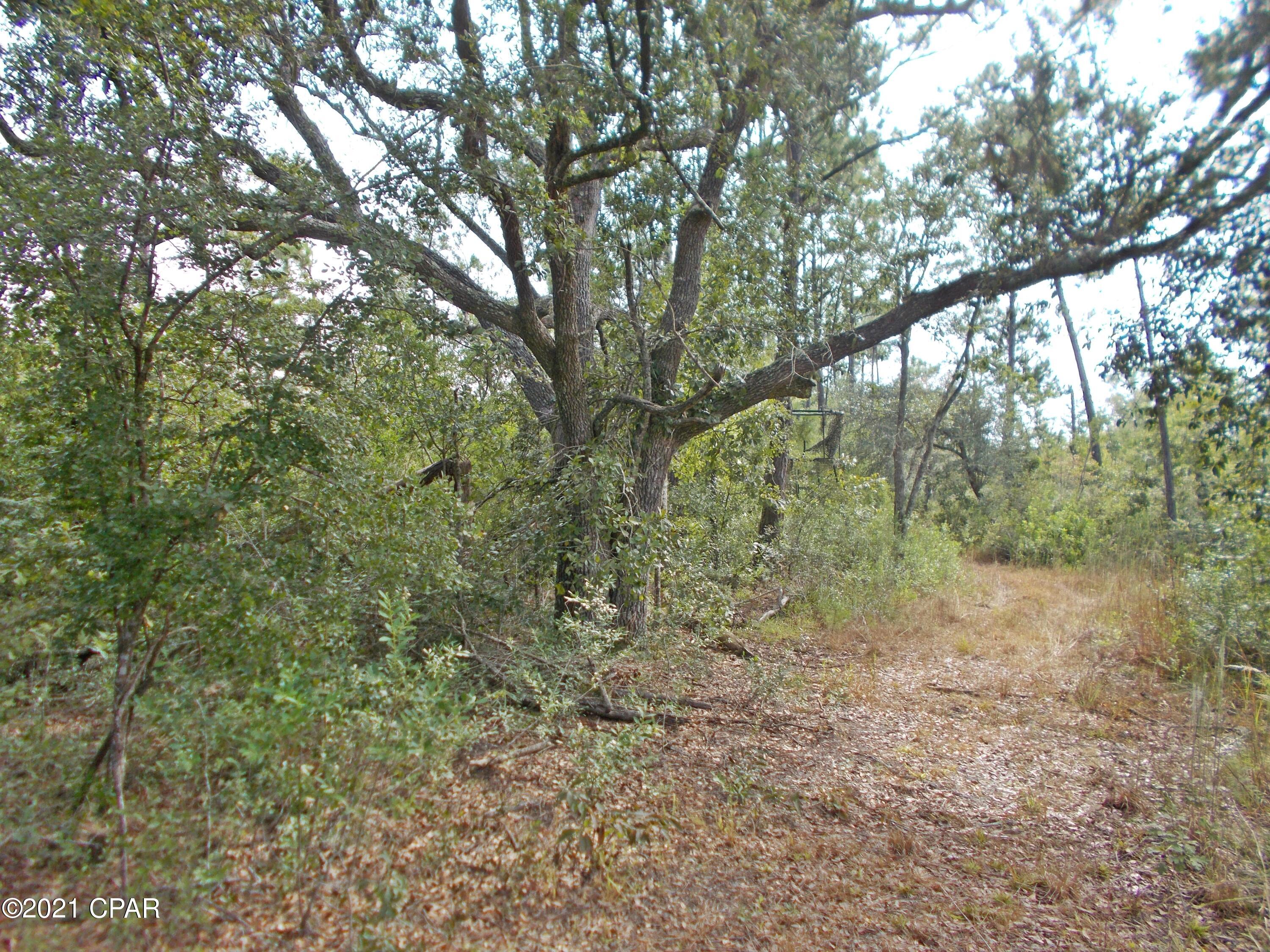 No Named Subdivision - Land