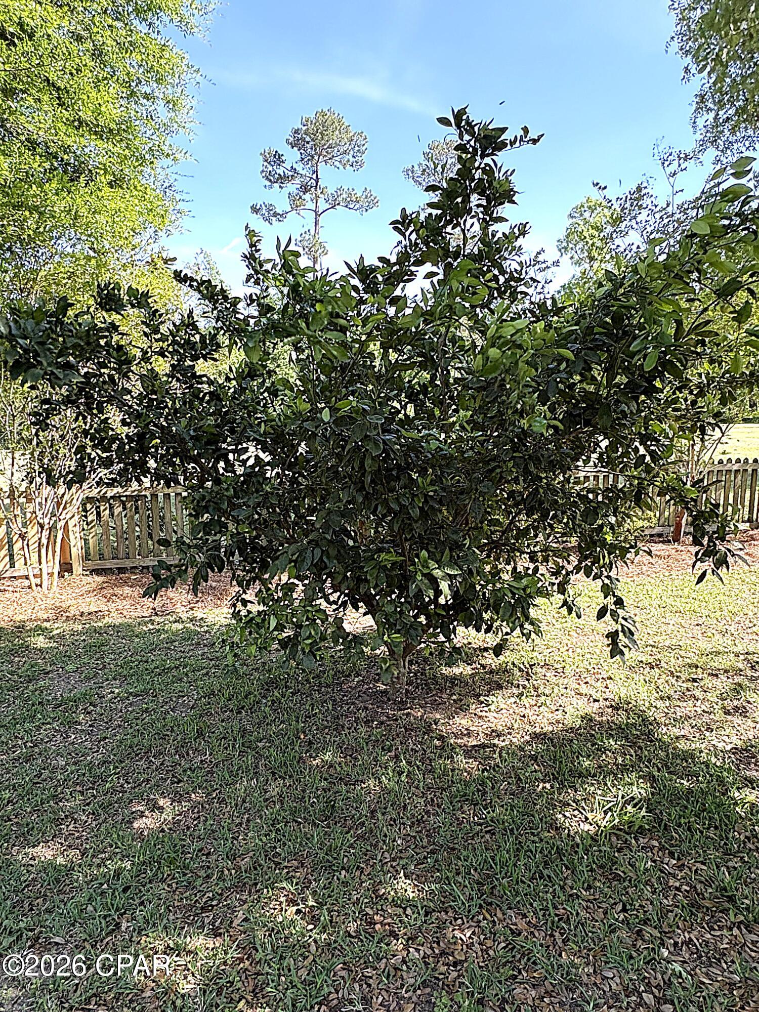 Indian Springs Golf Course - Residential