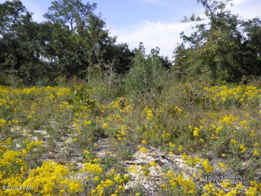 Vacant wooded lot in Sunny Hills, great investment, a short drive to Panama City and the International Airport, this subdivision has lots of amenities to offer, call agent today or drive by and see this natural wooded lot.