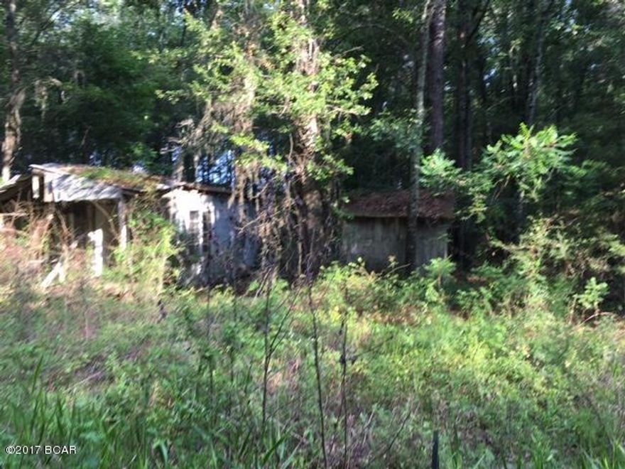 This is approximately 2.5 acres of land close to the city of Cottondale.