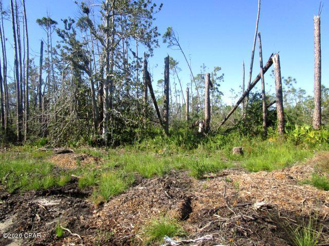 Laird Point Ph I - Land