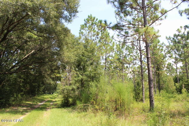 No Named Subdivision - Land