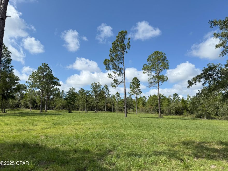 OWNER FINANCING AVAILABLE on this 1.28 acre +- lot that has been cleared, ready to build with some trees left for your yard! With the purchase of this lot you have access to Silver Lake, a private lake that is known to be the 5th clearest body of water in the State of Florida! This property is centrally located but provides peace and tranquility that is hard to find and on a paved road!  You'll have over an acre to build your new home or investment property that you may build and rent. The options are there! Please see the video footage for an overview of the property and  proximity to the lake. The neighboring lot is for sale as well, if you want more land!