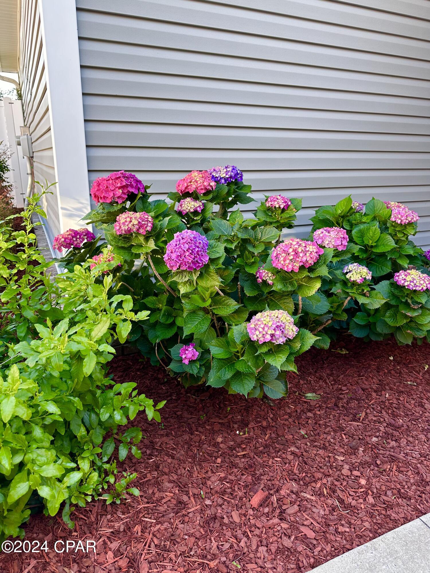 Riverside Phase II - Residential