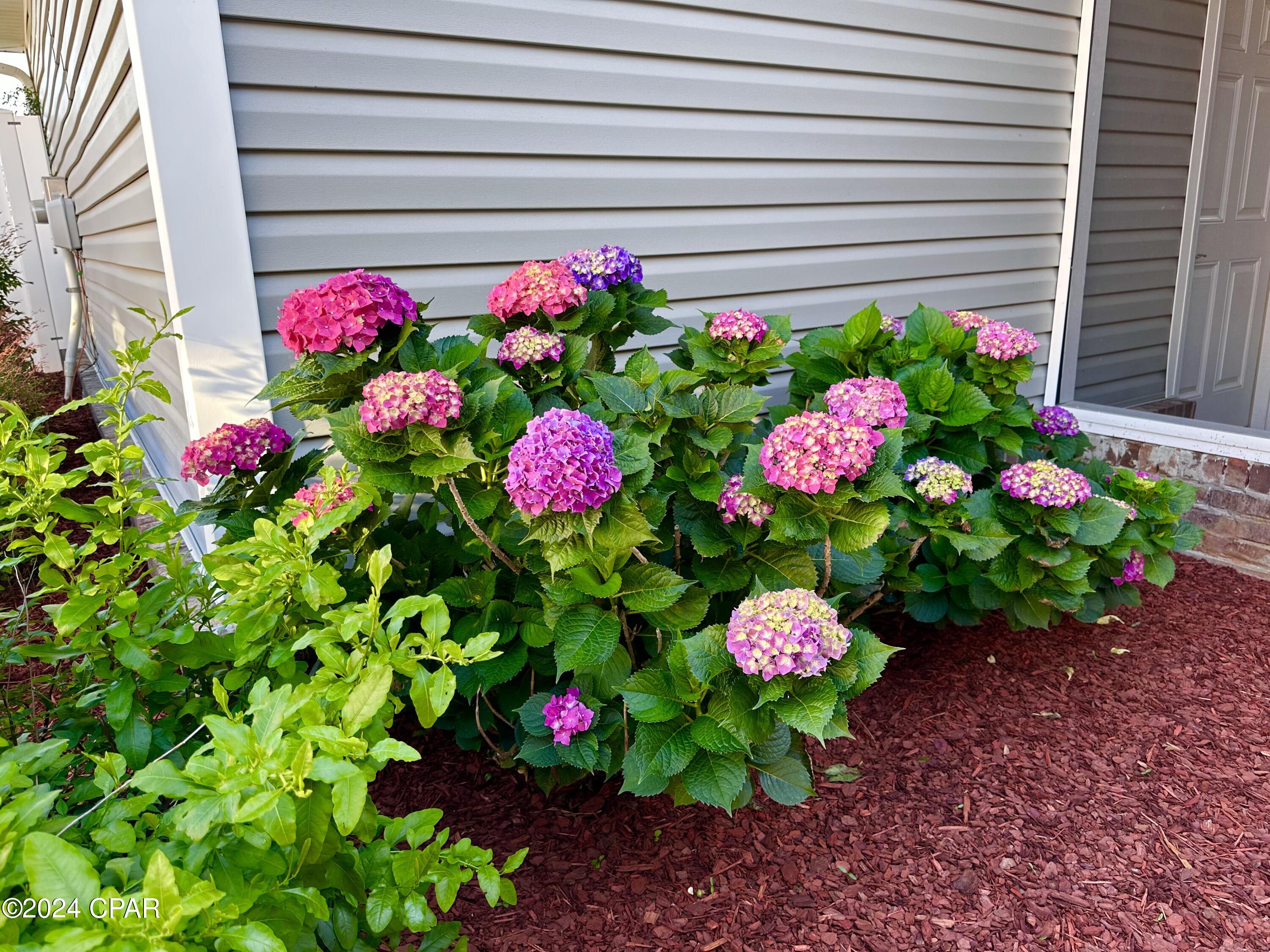 Riverside Phase II - Residential