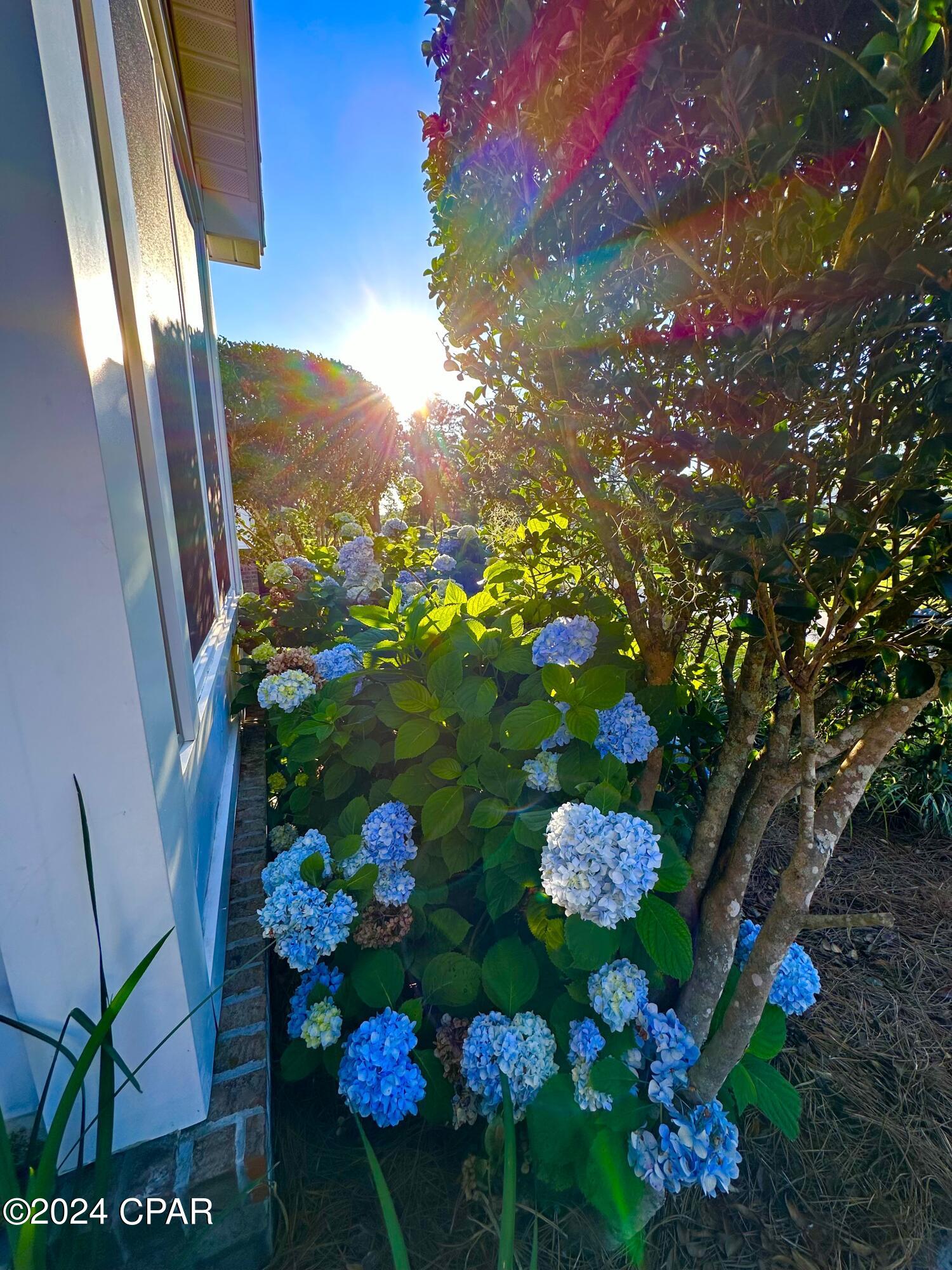 Riverside Phase II - Residential