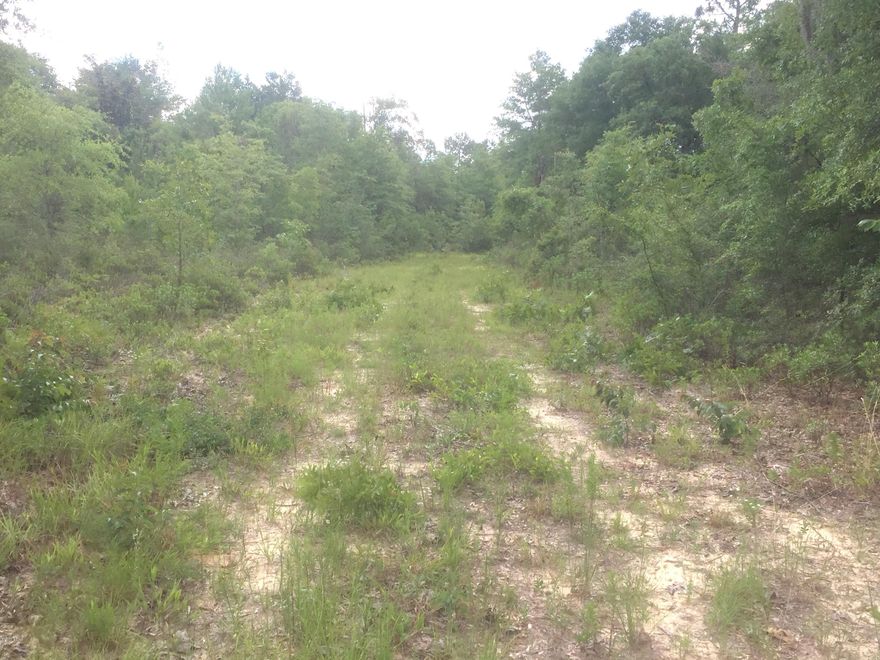 40+/- ACRE TRACT OF LAND THAT OFFERS IDEAL HUNTING OR COULD MAKE A GREAT INVESTMENT. PROPERTY IS PRIMARILY WOODED AND IS LOCATED BEHIND THE SUNNY HILLS SUBDIVISION.
